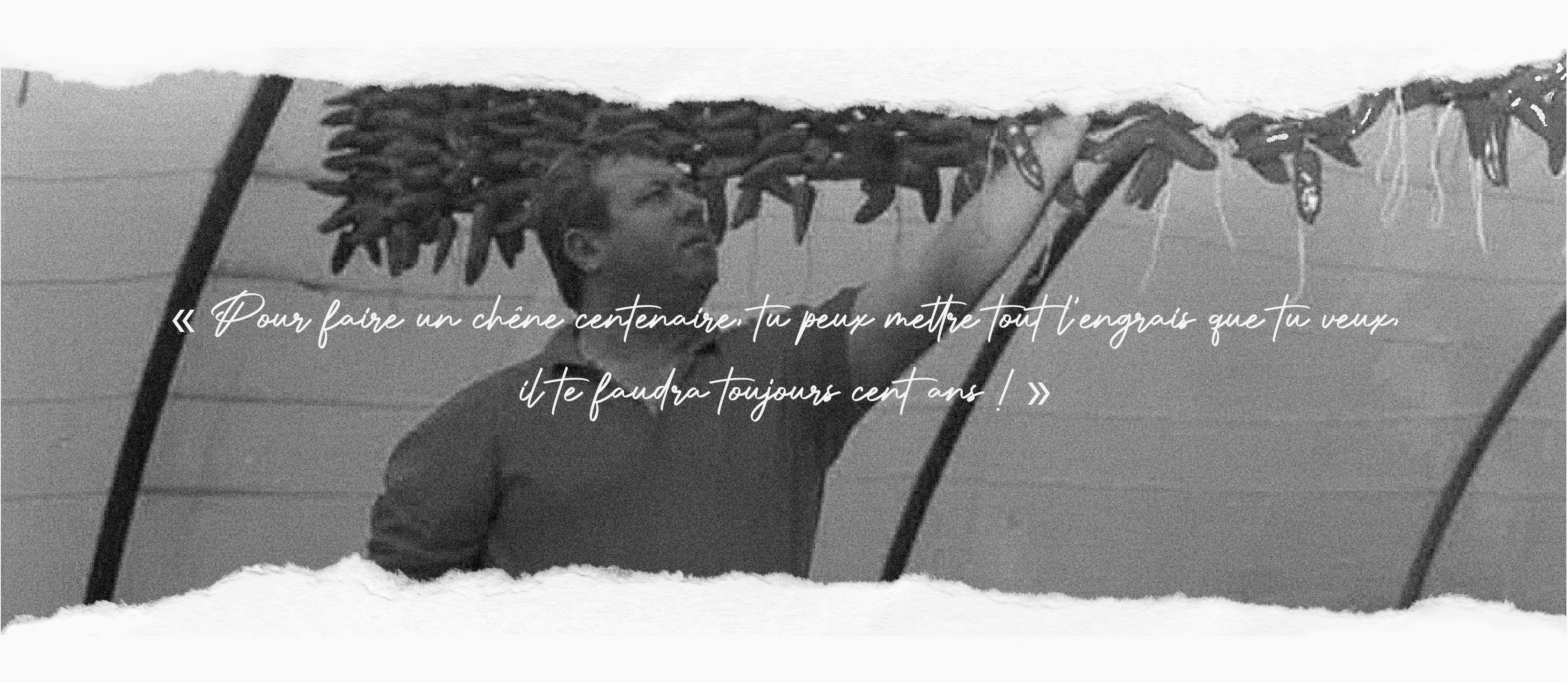 Citation accoceberry