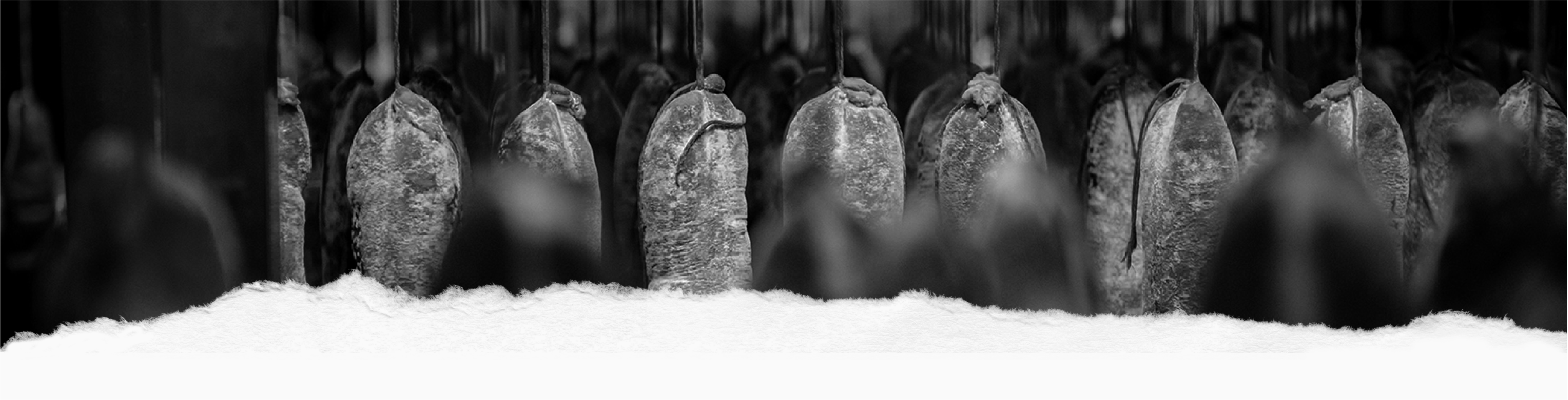 Savoir-faire Accoceberry